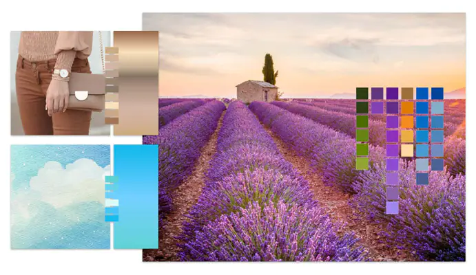 Corel Creative Collection