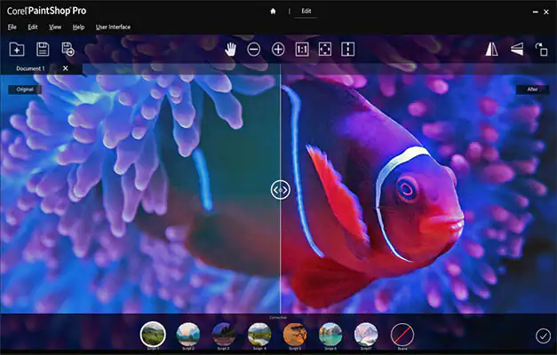 Sea-to-Sky Workspace