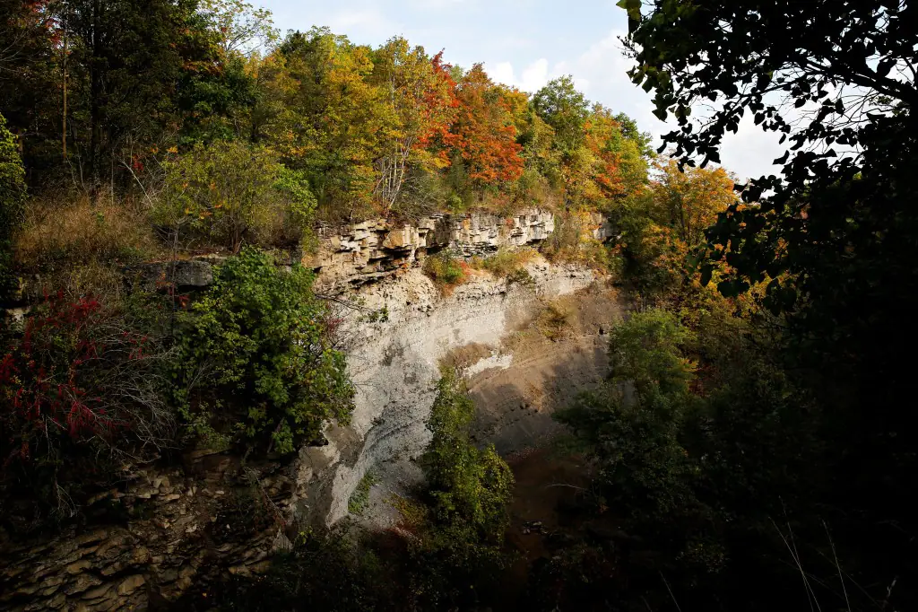 Examples of Autumn for Corel, in Niagara Region October 8, 2014. Photo by Blair Gable