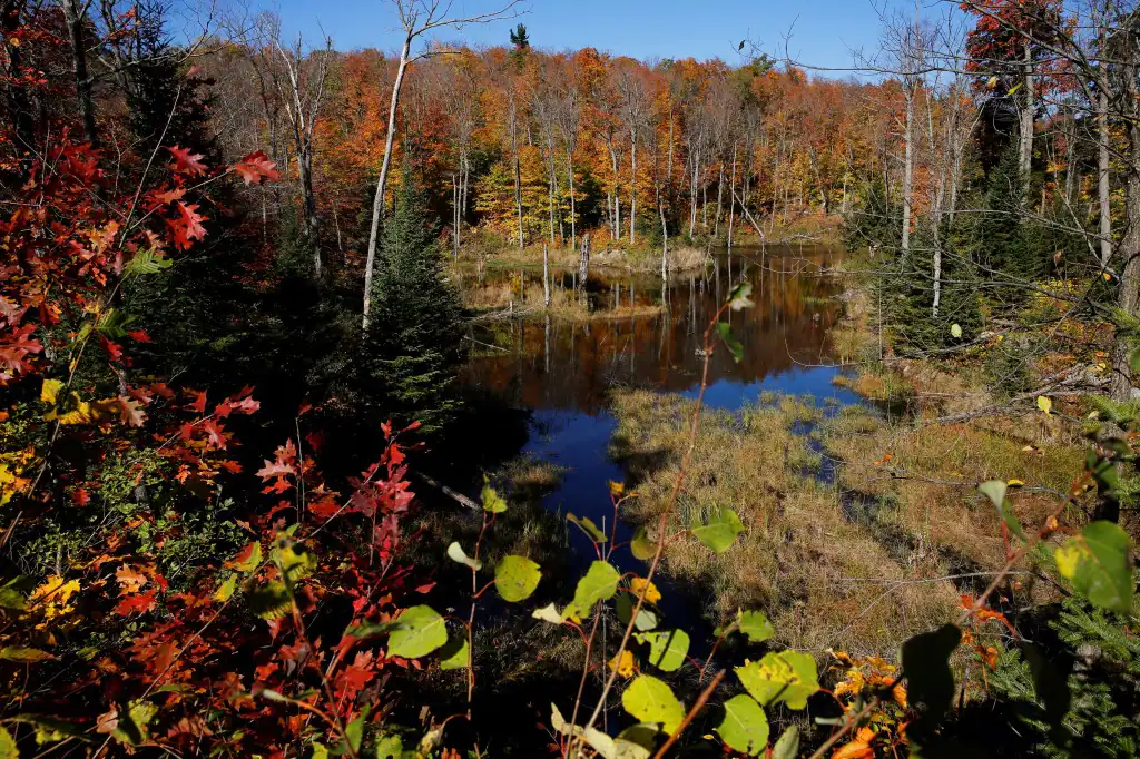 Autumn colours at the Champlain Lookout in Gatineau Park in Chelsea, Quebec October 12, 2014. Photo by Blair Gable